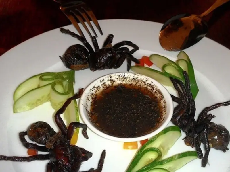 خوردن غذاهای عجیب در دنیا