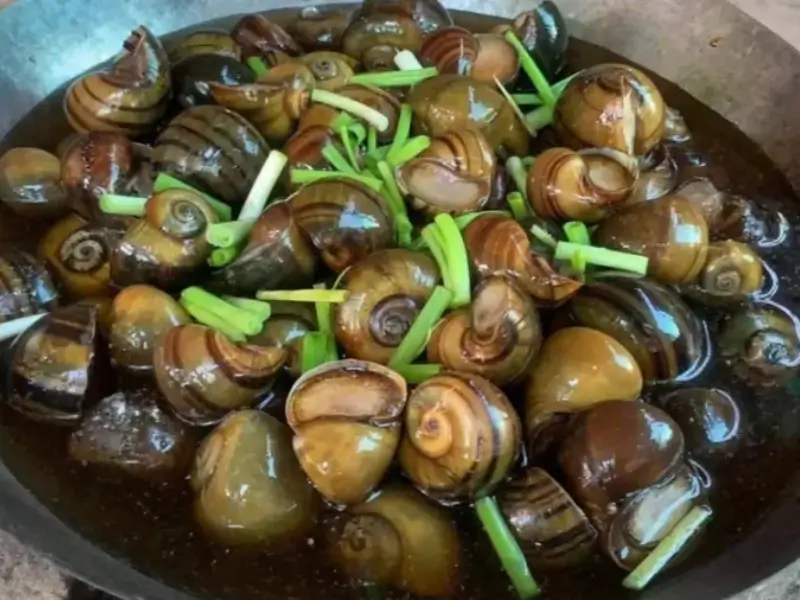 غذای عجیب غریب